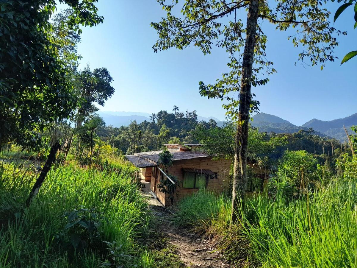 Sendero De Las Aves Mindo Exterior foto